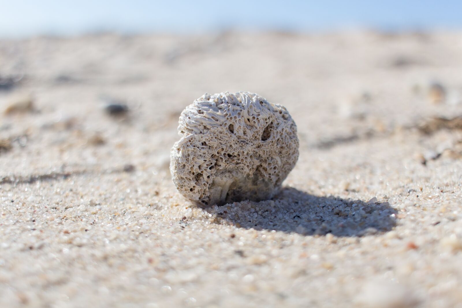 Canon EF-S 24mm F2.8 STM sample photo. Beach, sand, nature photography