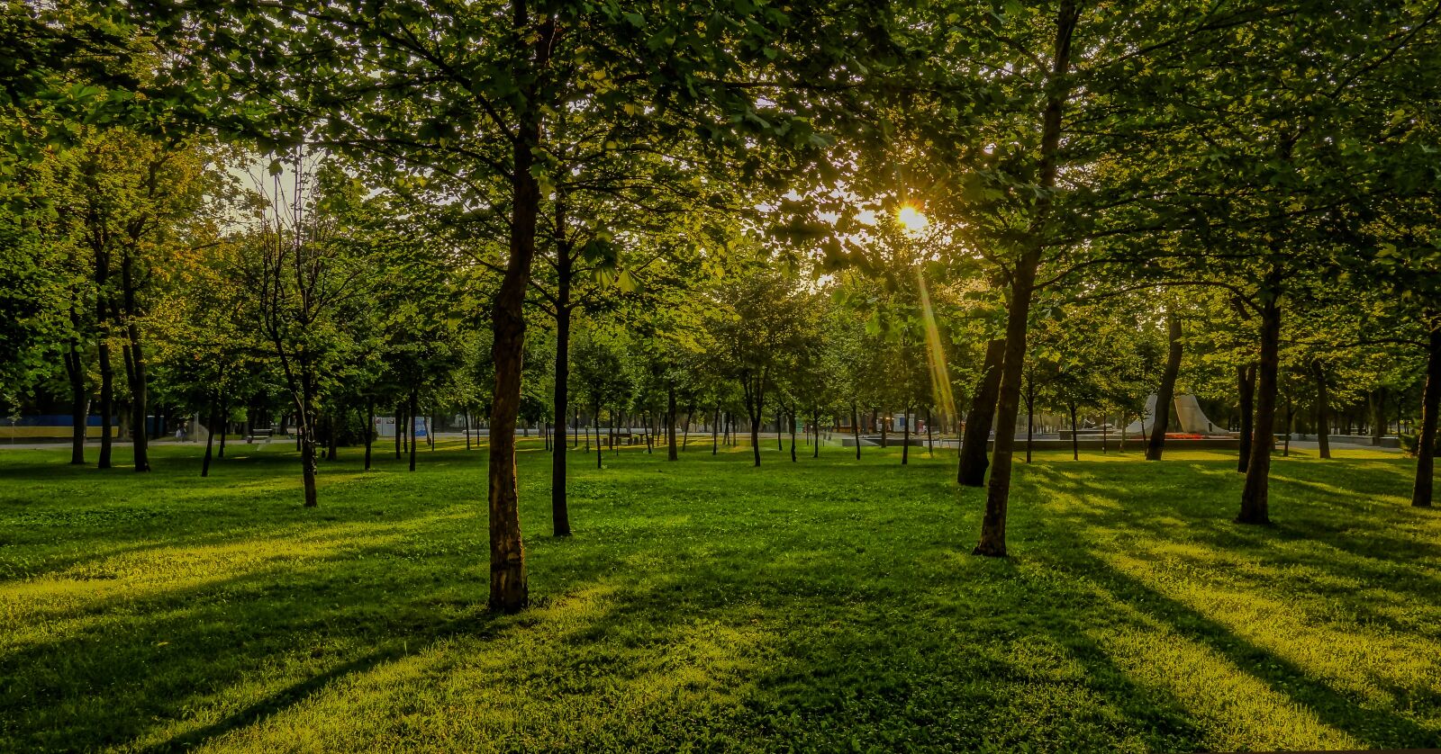 Sony Cyber-shot DSC-RX100 sample photo. Nature, tree, landscape photography