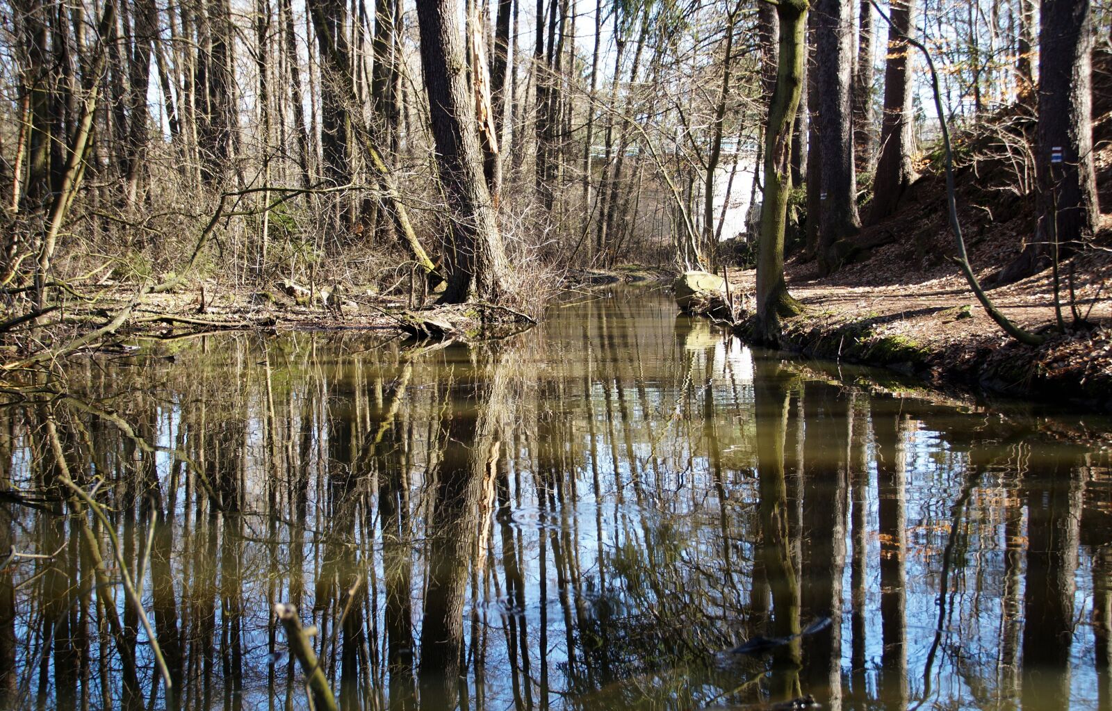 Sony SLT-A58 sample photo. Water, tributary, stream photography