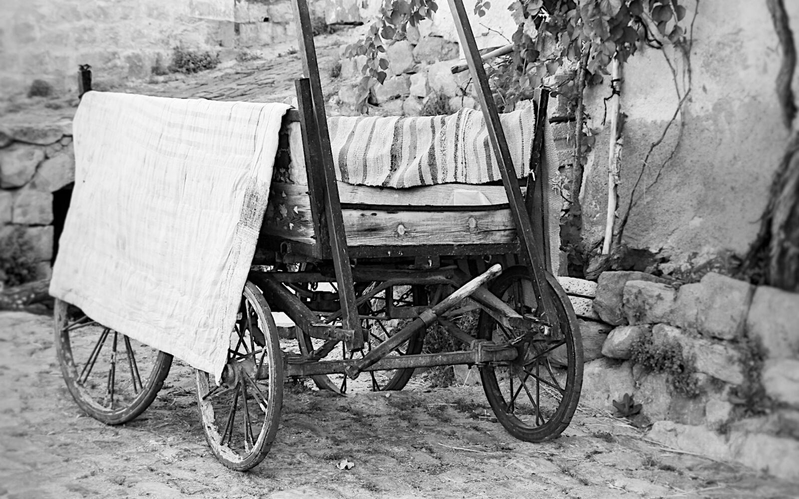 Canon EOS 60D sample photo. Coach, old, turkey photography