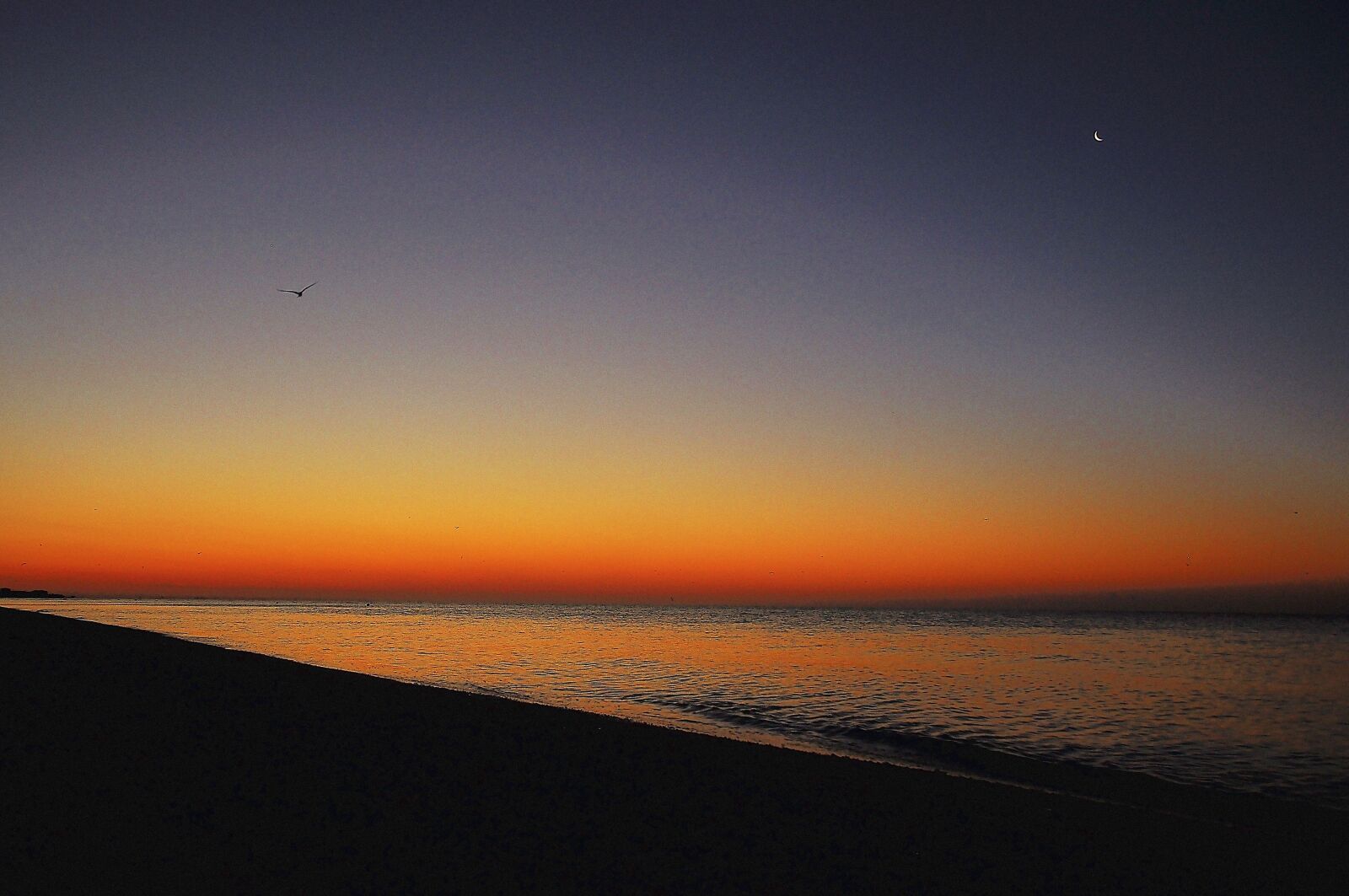 Nikon D90 sample photo. Sea, dawn, sky photography