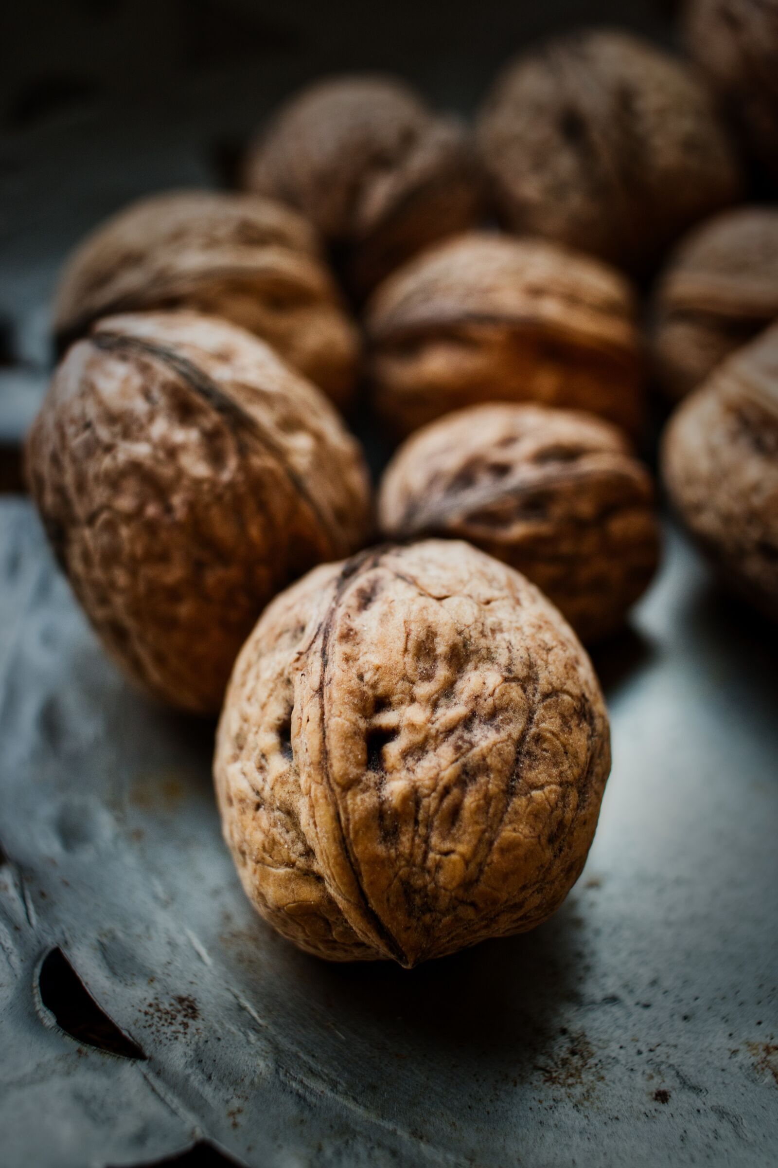 Canon EF-S 24mm F2.8 STM sample photo. Walnut, shell, nuts photography