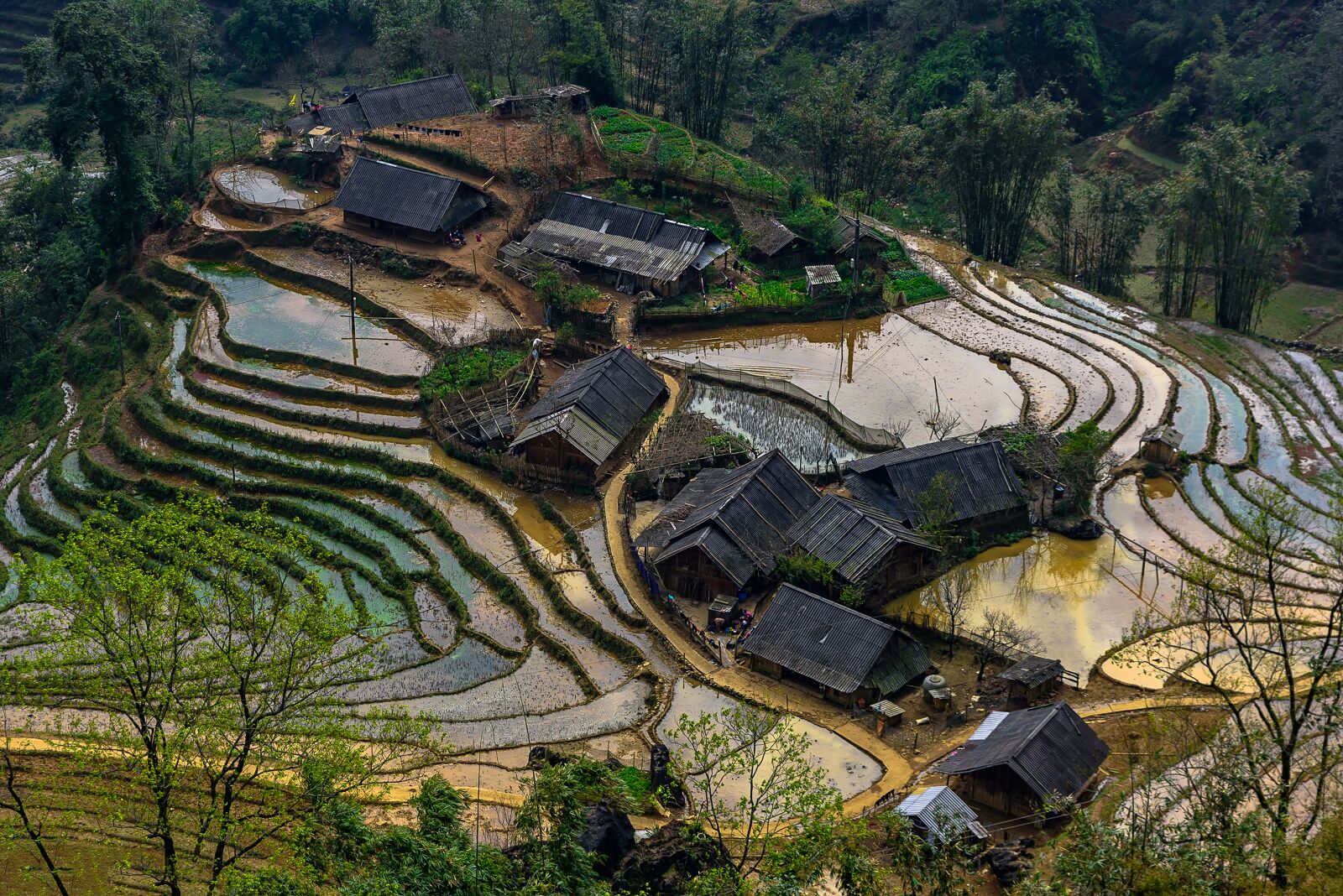 Nikon D810 sample photo. Vietnam, farm, agriculture photography
