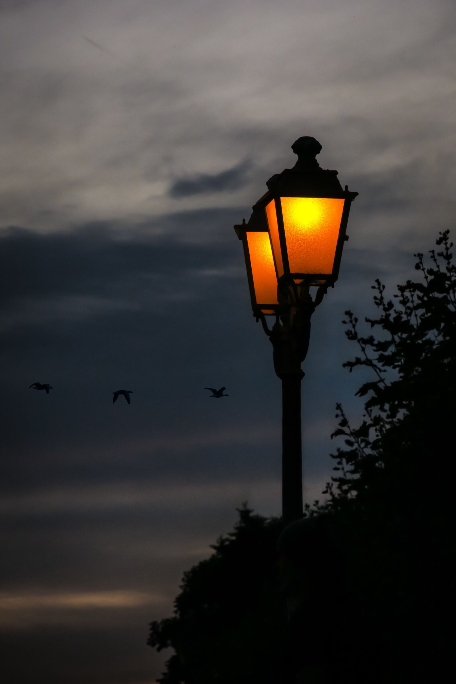 Canon PowerShot G3 X sample photo. Lantern, lamp, lighting photography