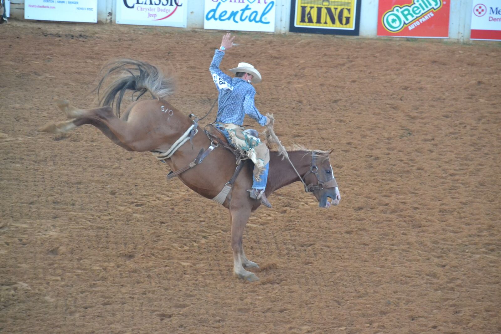 Nikon D3100 sample photo. Rodeo, cowboy, horse photography