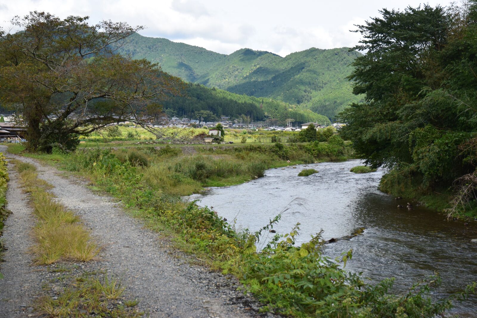 Nikon D5300 sample photo. Culture, valley, scenic photography