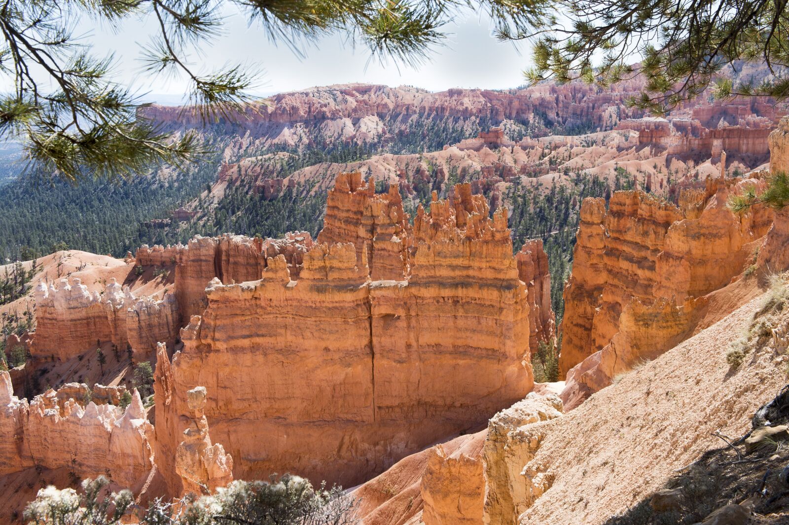Nikon D4S sample photo. Bryce canyon, national park photography