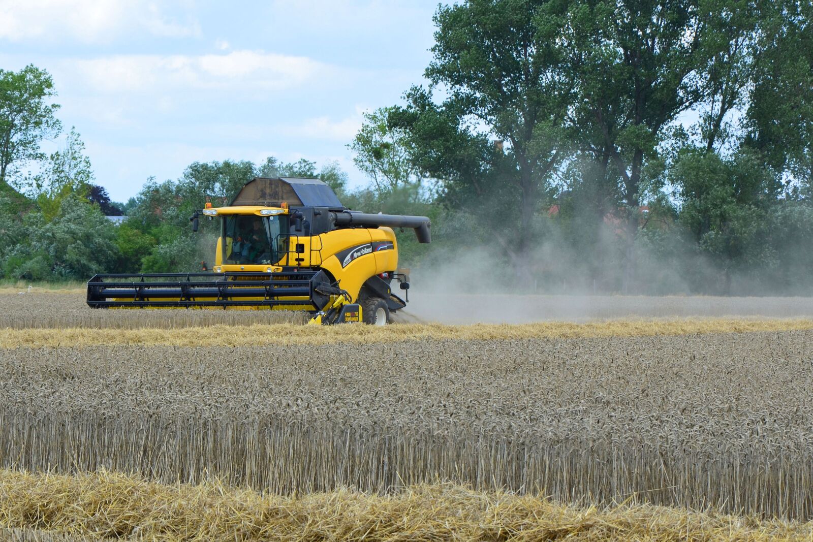Nikon D5100 sample photo. Combine harvester, harvest, barley photography