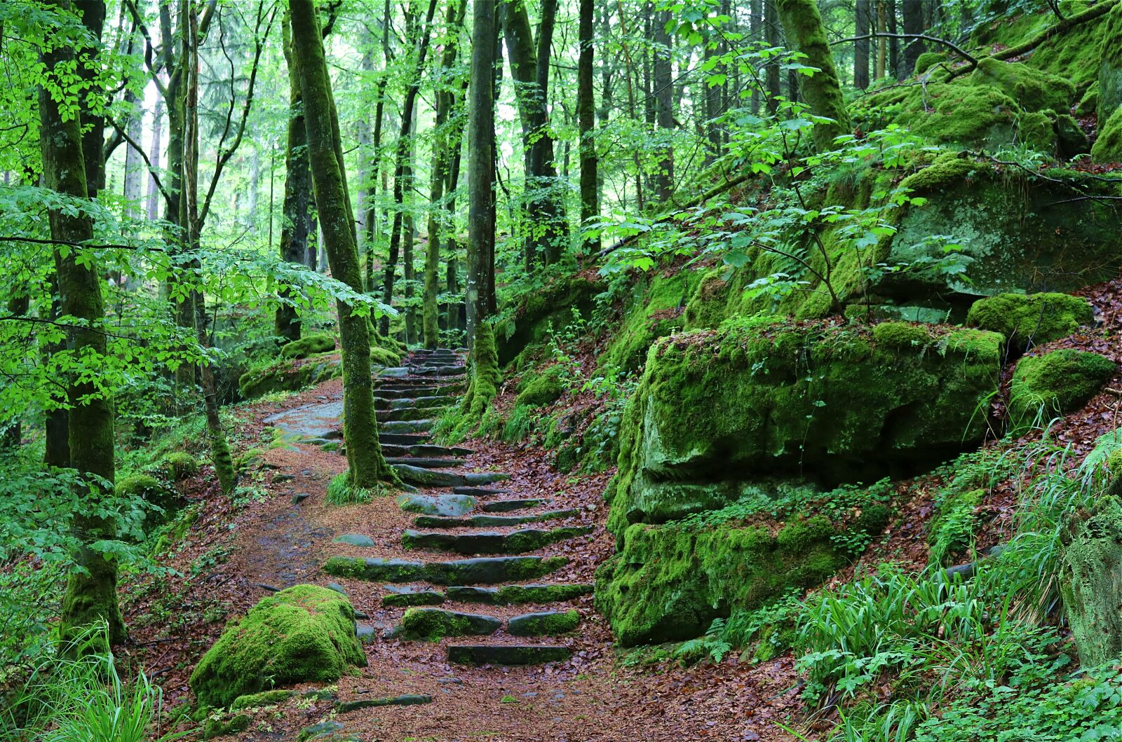 Canon EOS 750D (EOS Rebel T6i / EOS Kiss X8i) sample photo. Stone stairway, away, rise photography