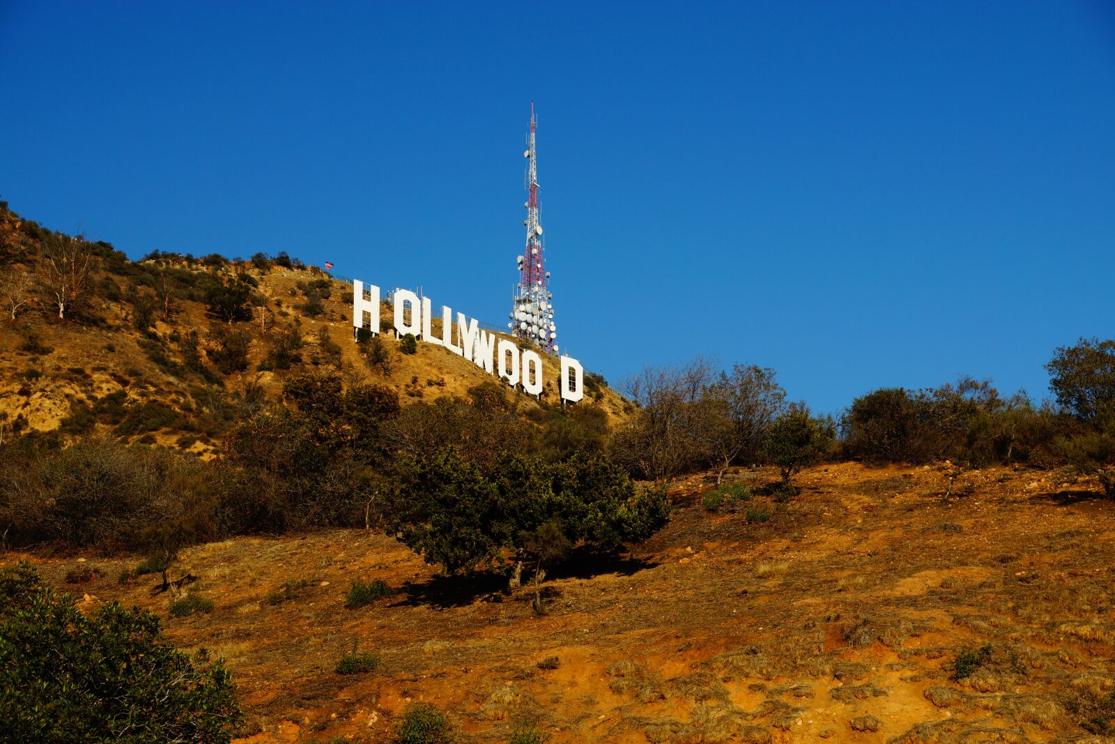 Sony SLT-A65 (SLT-A65V) + Sony DT 16-50mm F2.8 SSM sample photo. Hollywood, sky, california photography