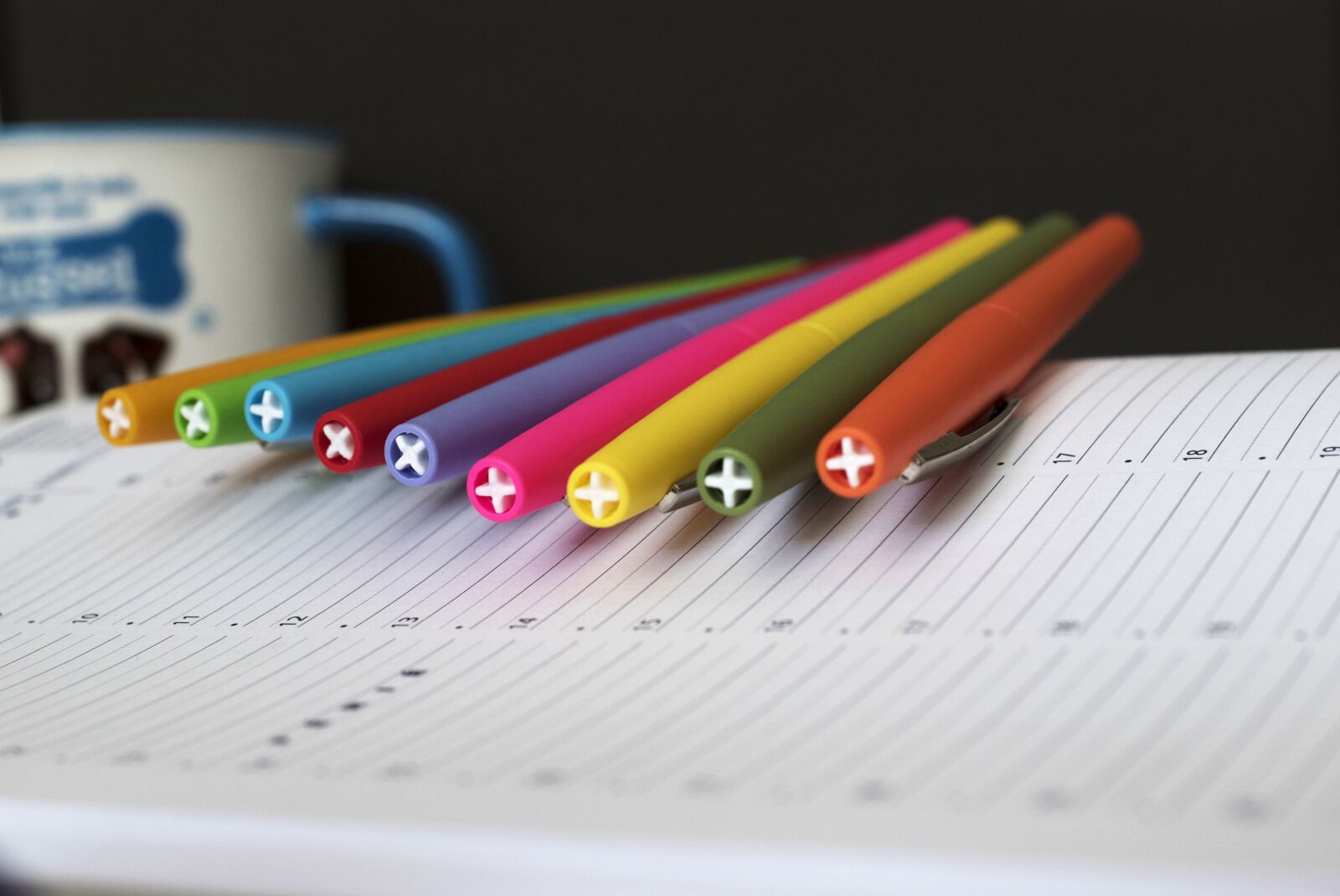 Nikon D5600 sample photo. Back to school, return photography