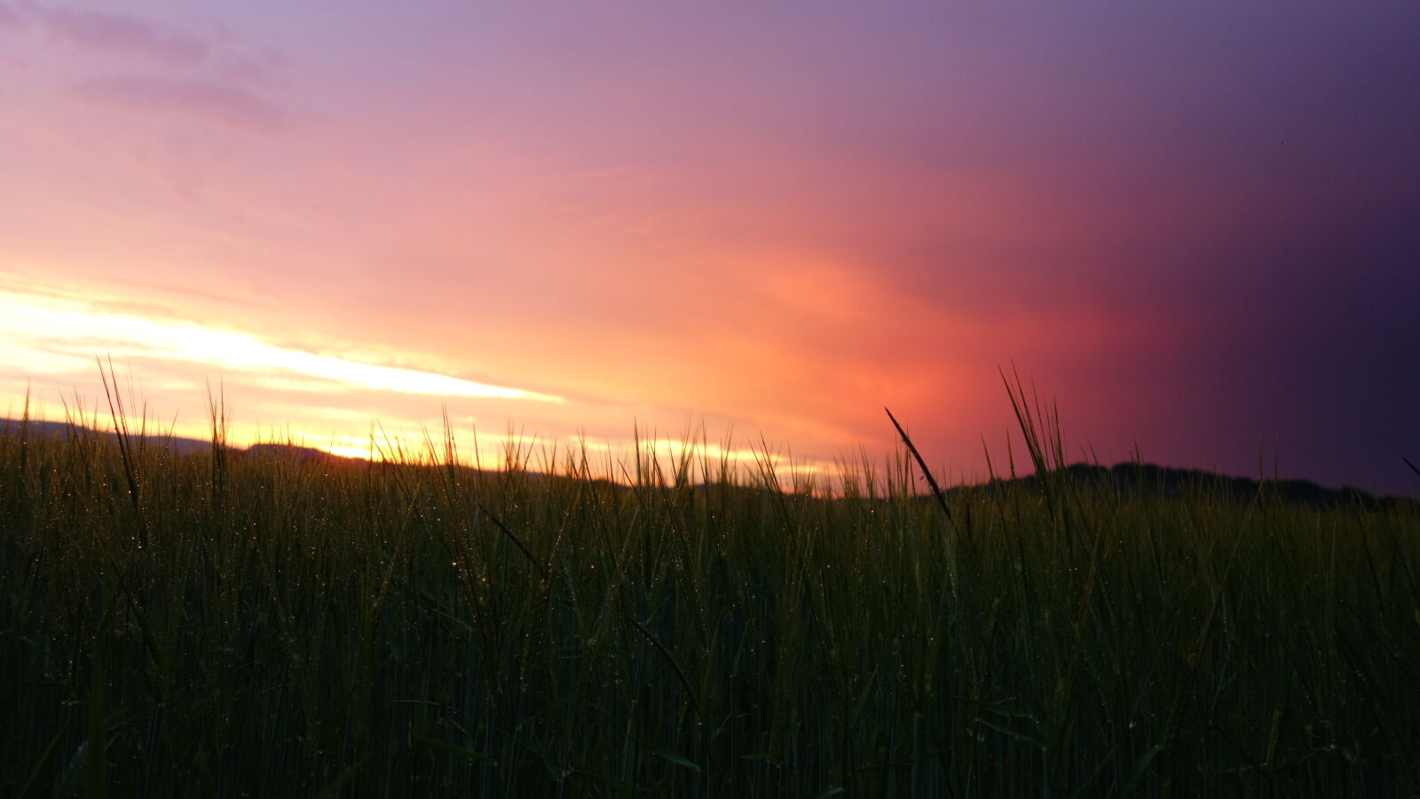 Sony Cyber-shot DSC-RX100 sample photo. Clouds, colorful, field, storm photography