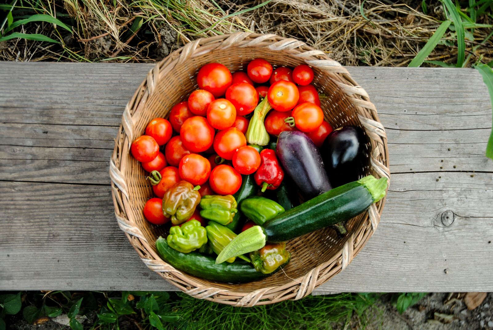 Nikon D3000 sample photo. Harvest, tomato, pumpkin photography
