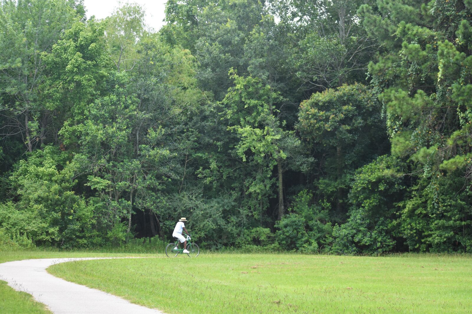 Nikon D3500 sample photo. Bike riding, bicyclist, bike photography