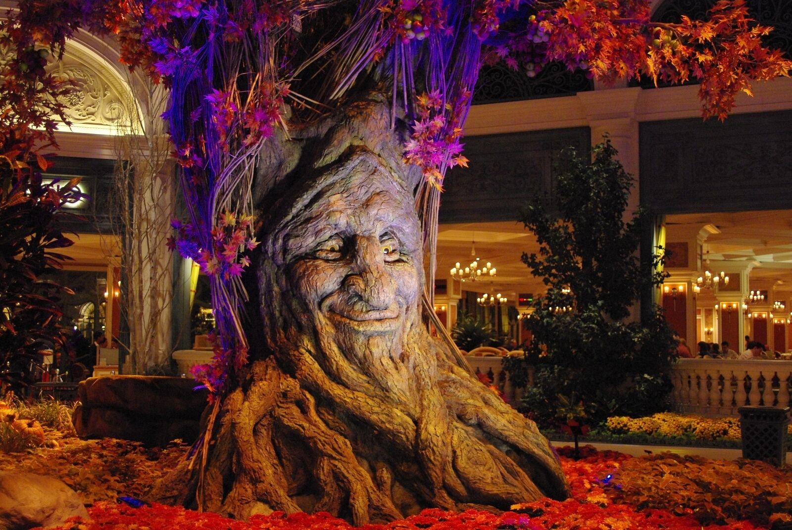 Pentax K200D sample photo. Usa, las vegas, nevada photography