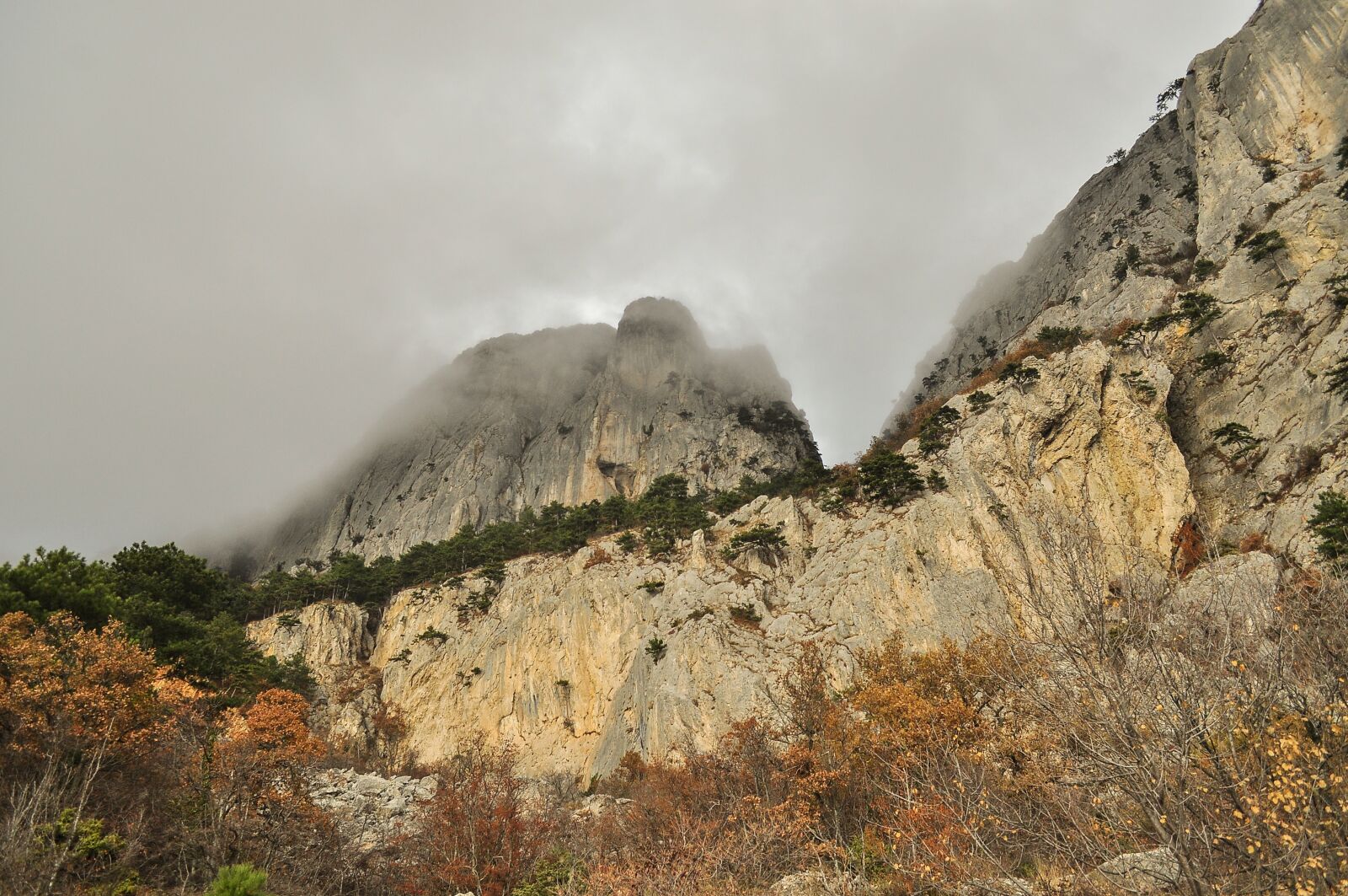Nikon D5000 sample photo. Fog, mountains, rock photography