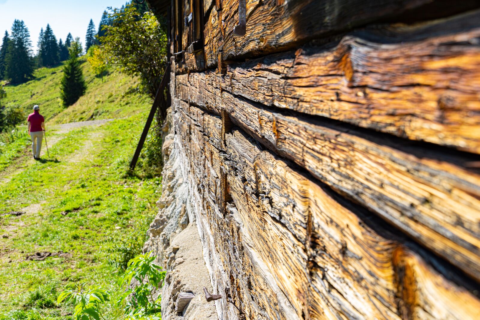 Sony a6000 sample photo. Mountain hut, alpe, alpine photography