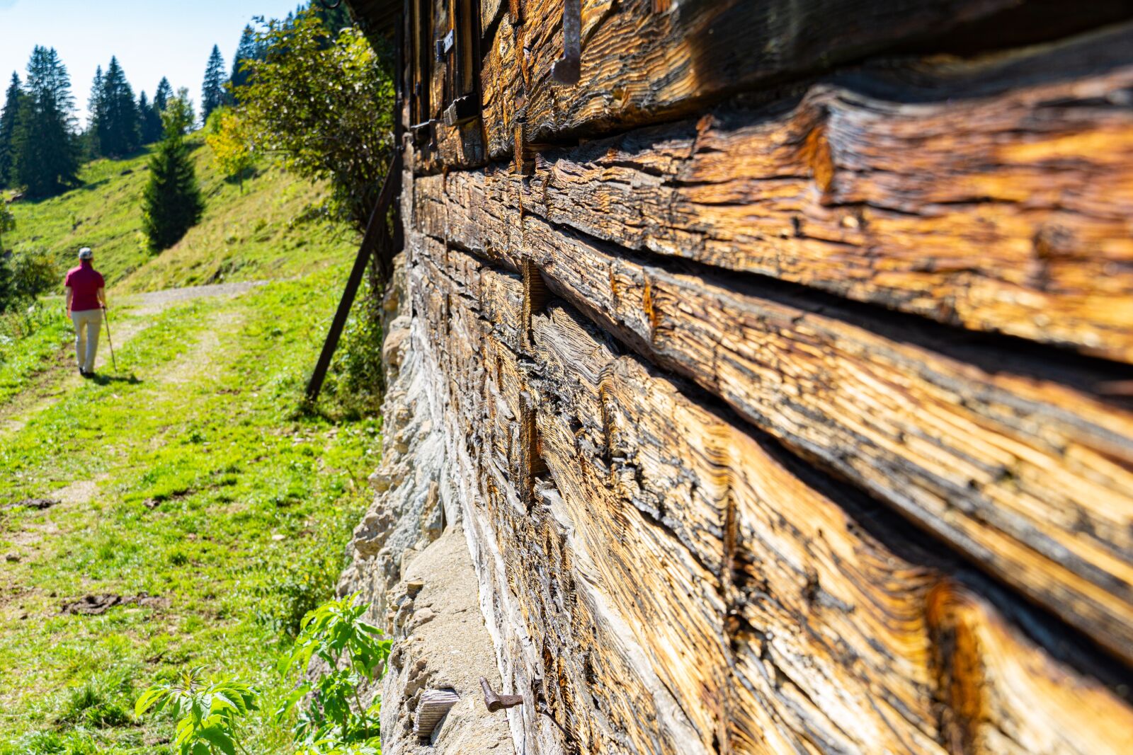 Sony a6000 + Sony E 18-135mm F3.5-5.6 OSS sample photo. Mountain hut, alpe, alpine photography