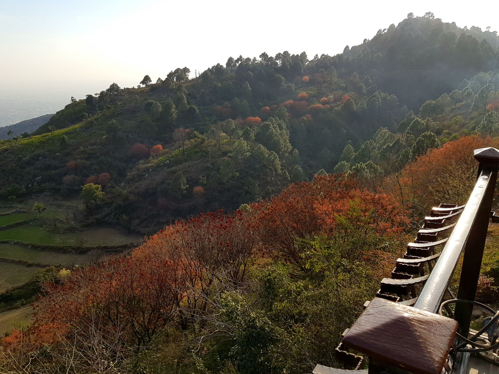 Samsung Galaxy Note Fan Edition sample photo. Spring, hills, greenery photography
