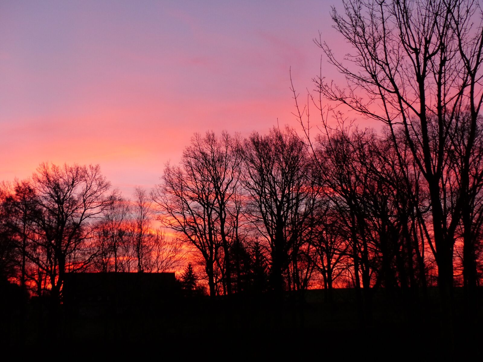 Panasonic Lumix DMC-FZ200 sample photo. Morgenrot, nature, skies photography