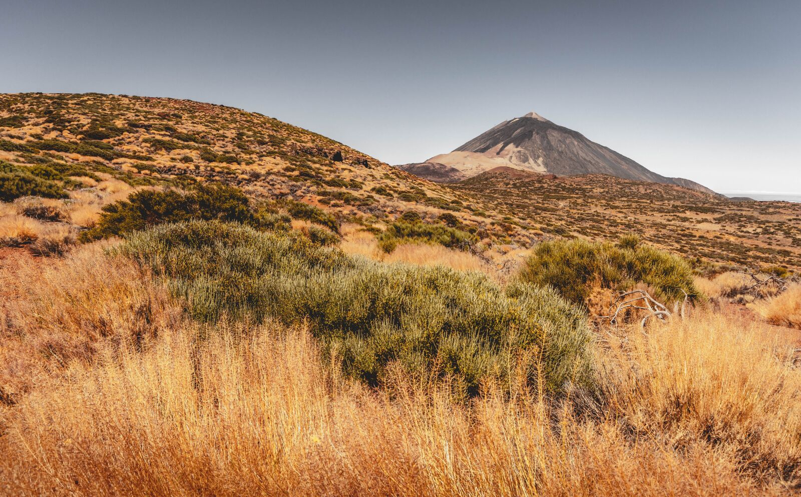 Nikon D5200 sample photo. Teide, grass, mountain photography