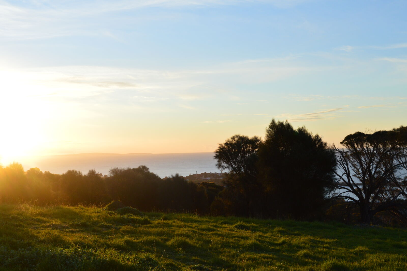 Nikon D3200 sample photo