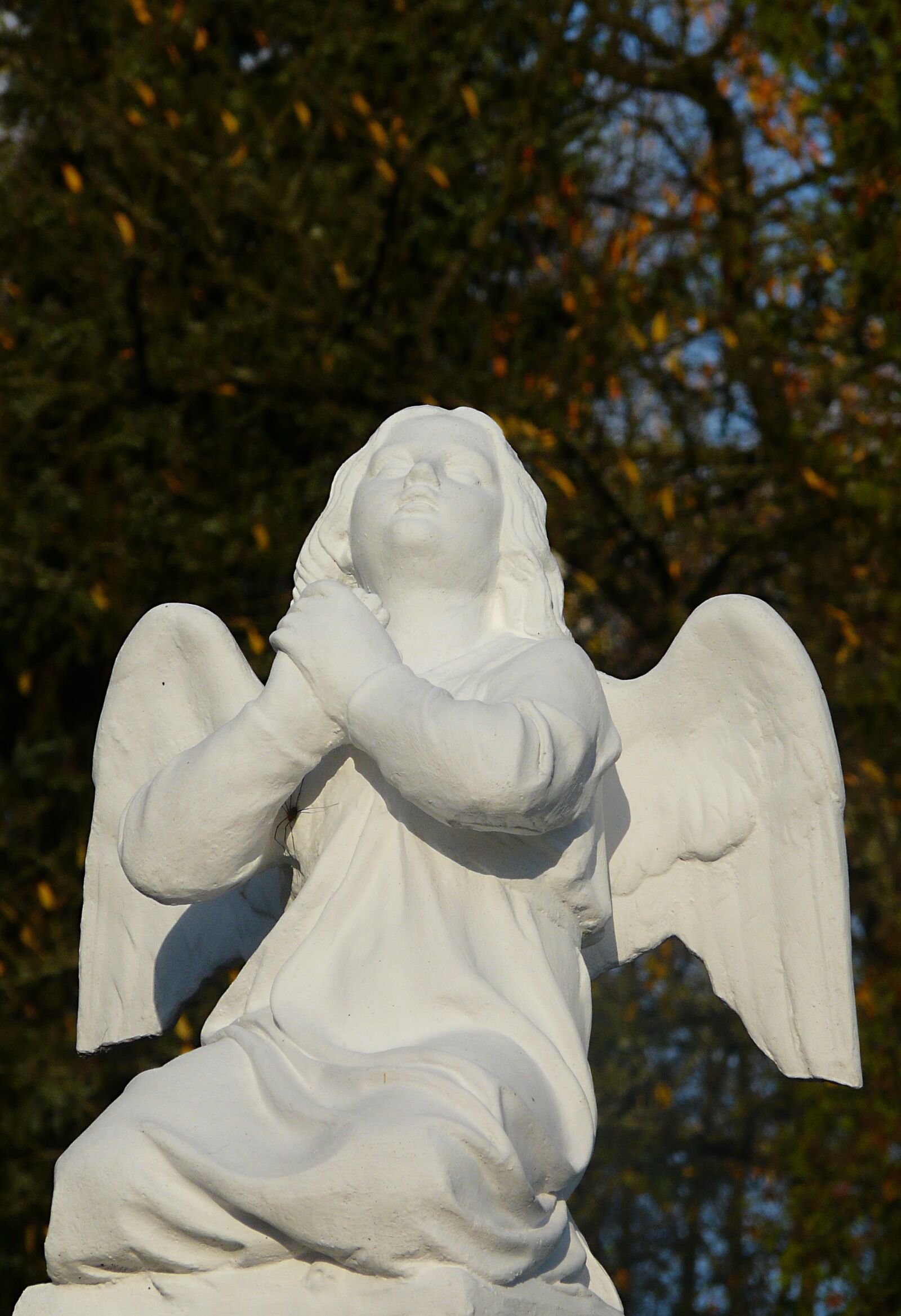 Panasonic DMC-FZ18 sample photo. Angel, statue, autumn photography