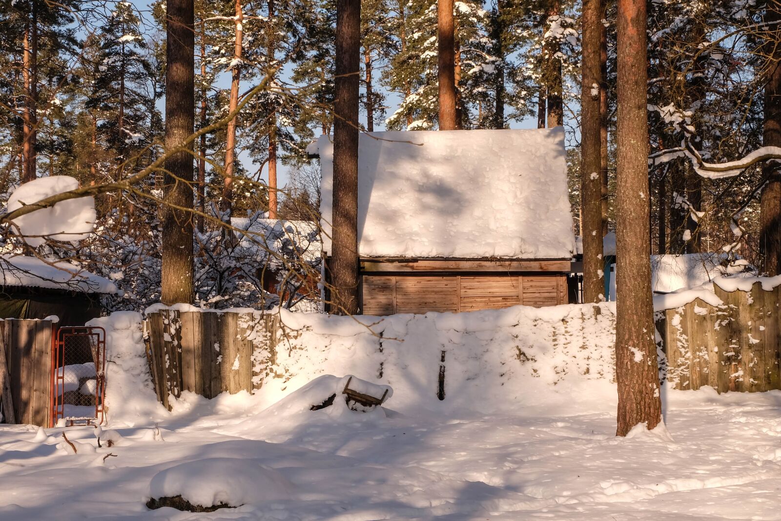Fujifilm X-A2 + Fujifilm XC 16-50mm F3.5-5.6 OIS II sample photo. Winter, michurinskiy, beauty photography