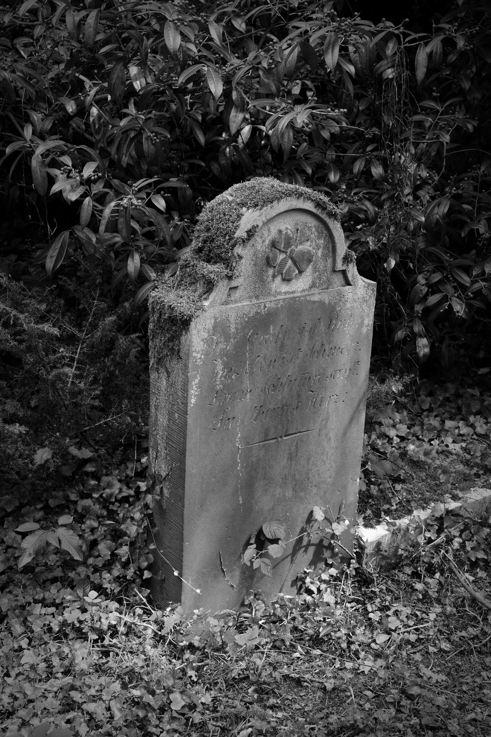Nikon D5200 sample photo. Cemetery, old grave stones photography