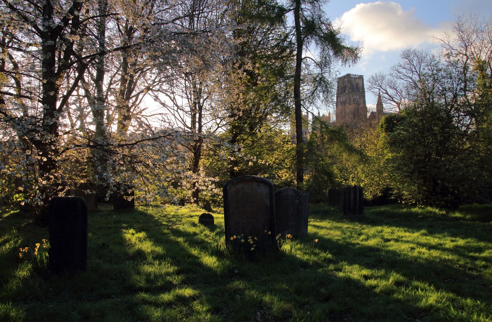 Canon EOS 80D sample photo. Graveyard, durham, peaceful photography