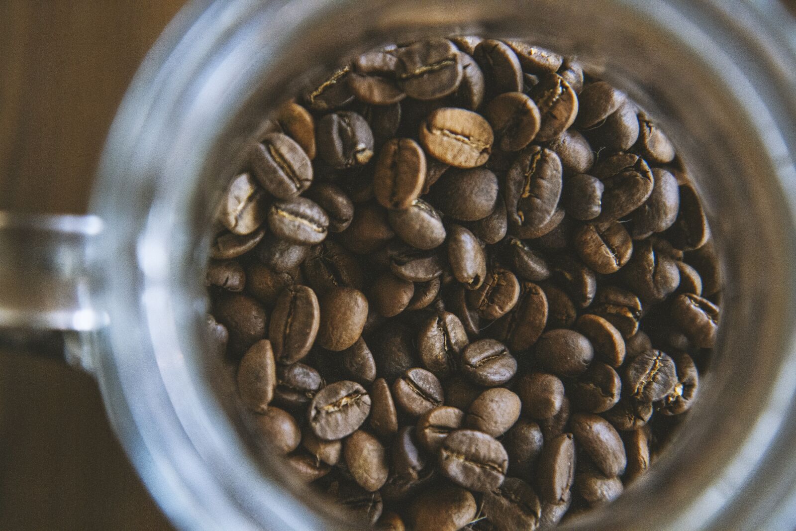 Canon EOS 7D sample photo. Coffee, seeds, seed photography