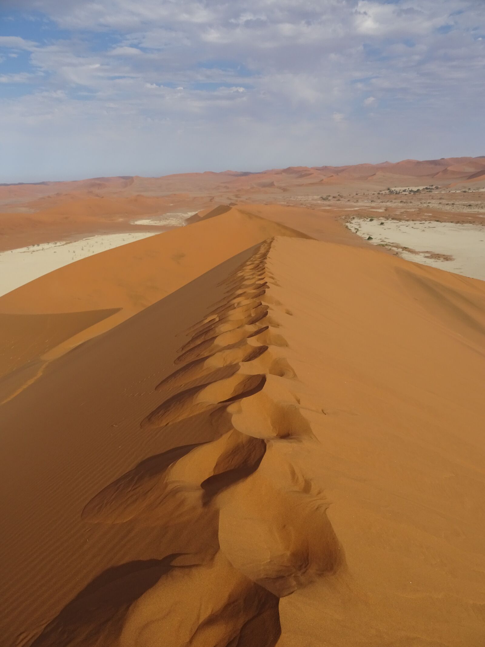 Sony DSC-HX60V sample photo. Desert, dunes, trace photography