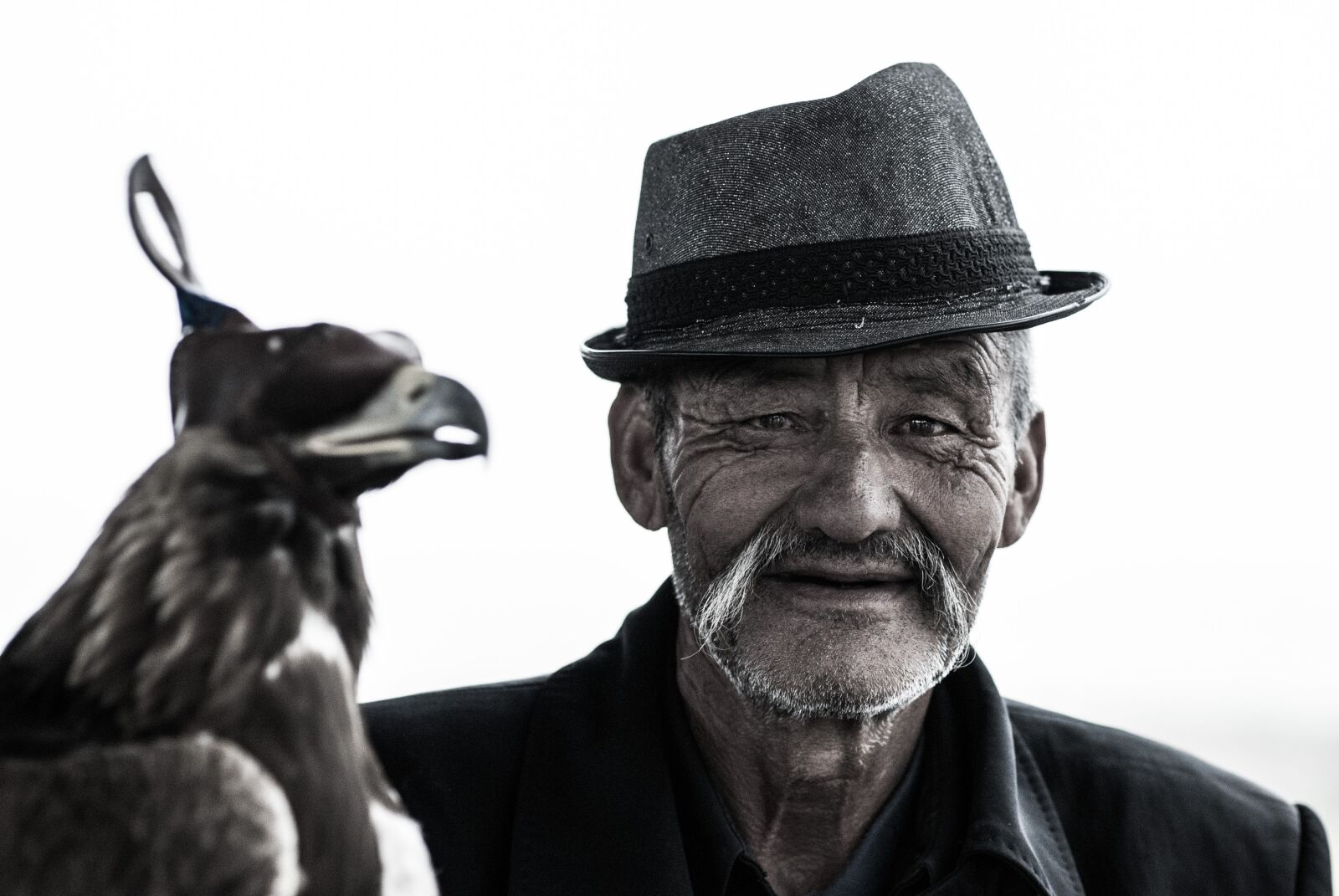 Nikon D80 sample photo. Animal, bird, elderly photography