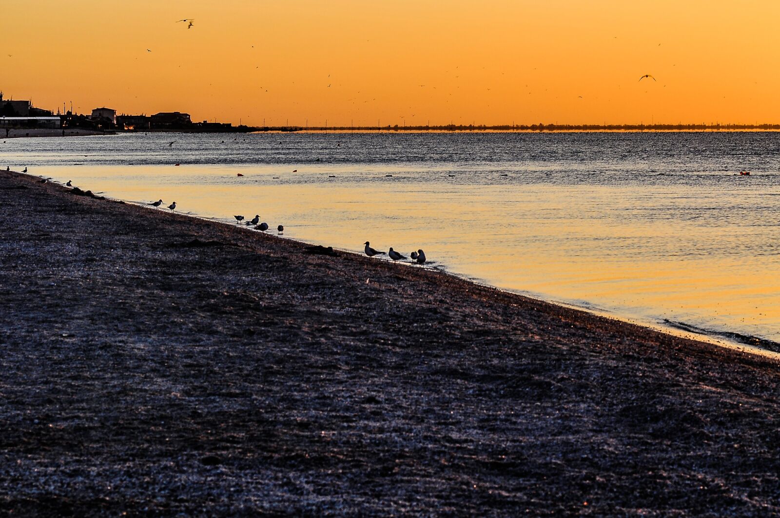 Nikon D90 sample photo. Sea, sunset, orange photography