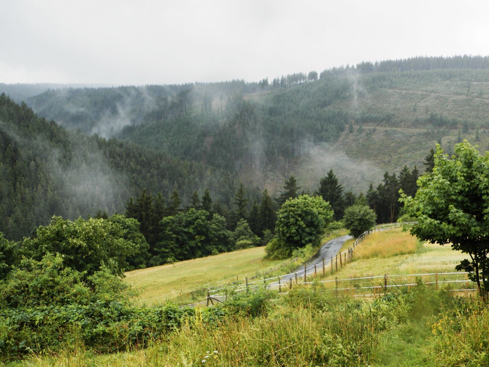 Olympus SP-620UZ sample photo. Fog, mountain, landscape photography