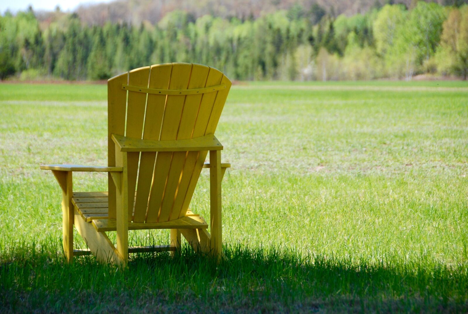 Nikon D80 sample photo. Chair, muskoka, lounge photography