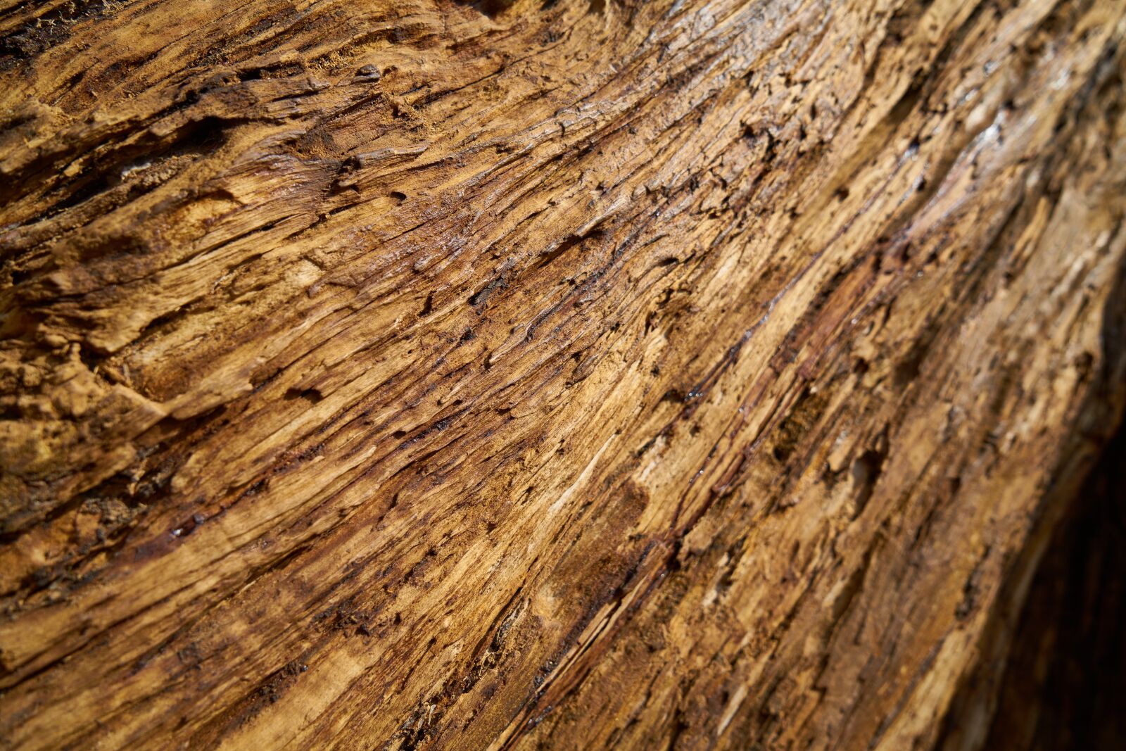 Sony a7R II sample photo. Wood, wood-fibre boards, timber photography