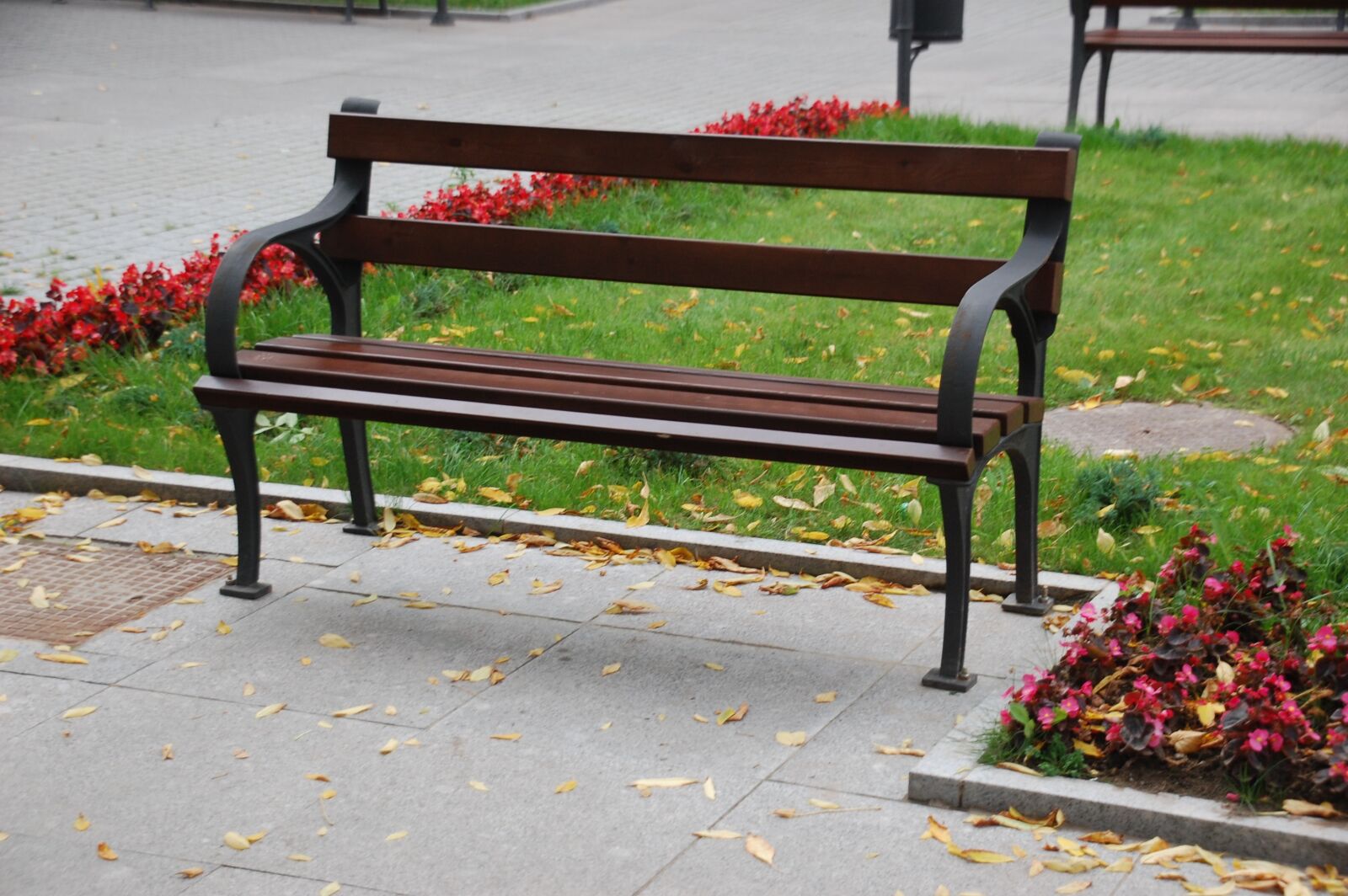 Nikon D40 sample photo. Bench, seat, wood photography