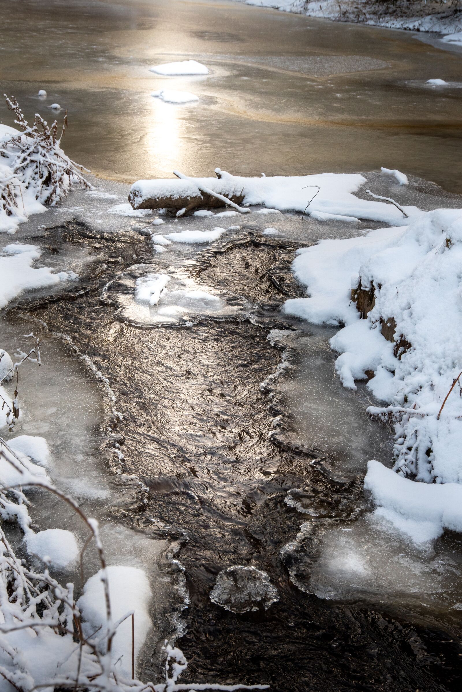 Nikon D750 sample photo. Water, reflection, calm photography