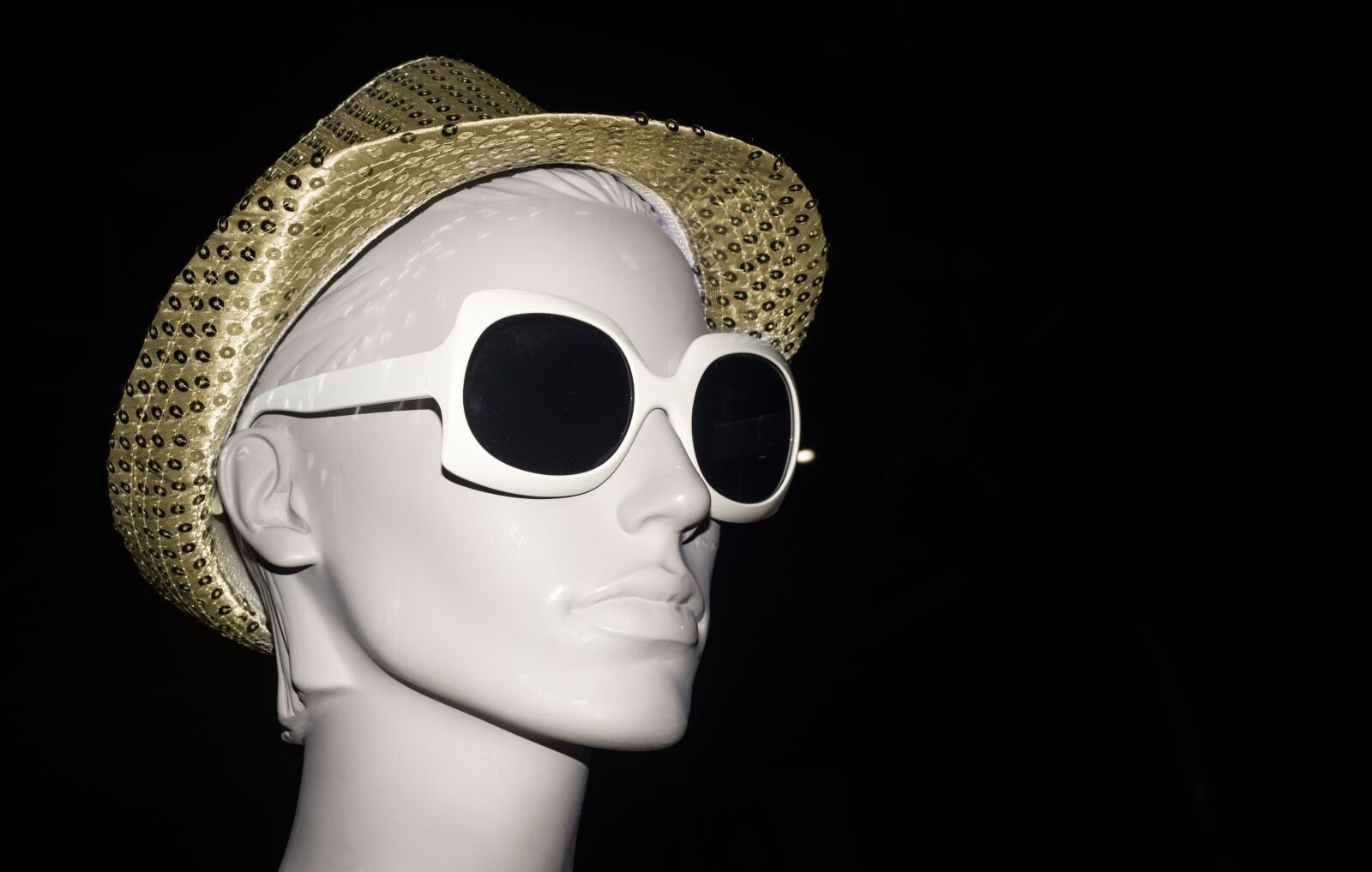 Nikon D610 sample photo. Mannequin, sunglasses, hat photography