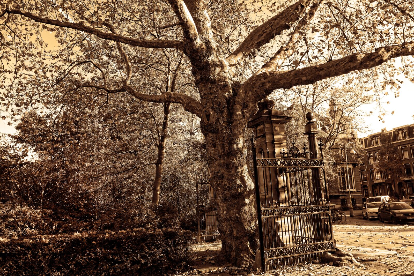 Sony Cyber-shot DSC-RX100 sample photo. Gate, entrance, park photography