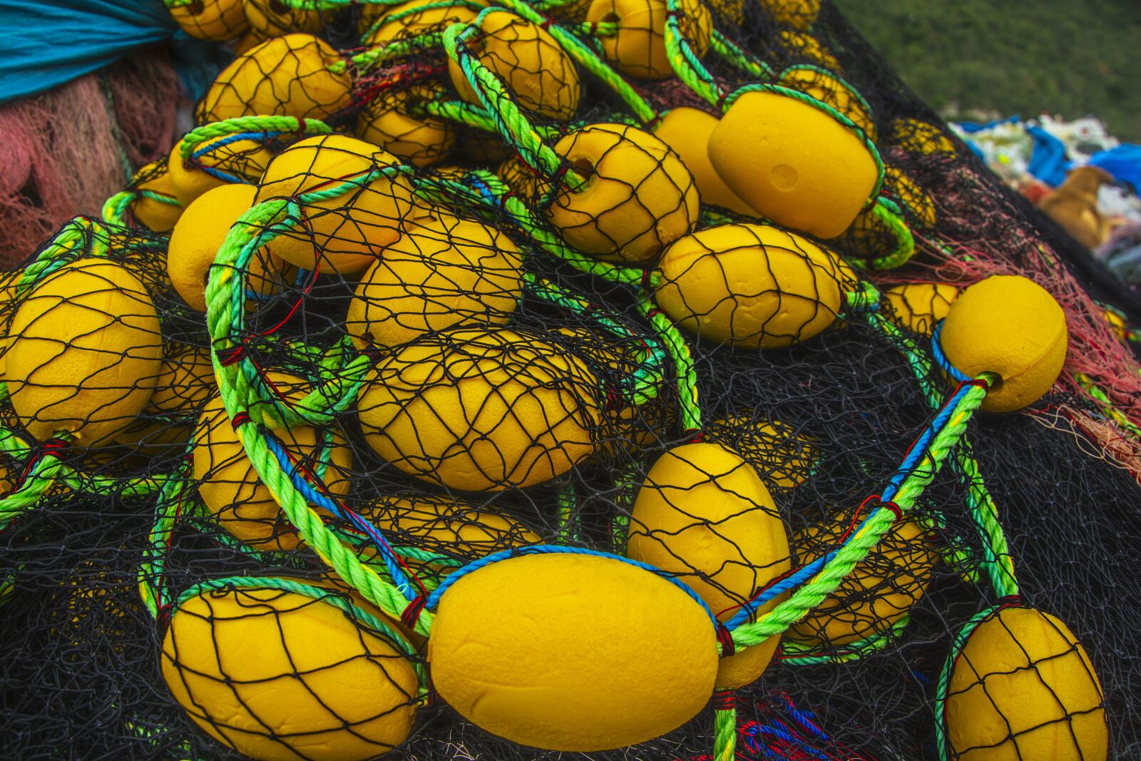 Nikon D5200 sample photo. Network, color, abstract photography