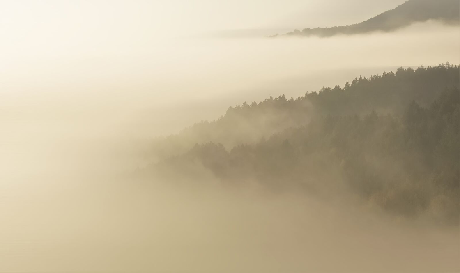 Nikon D7000 sample photo. Hills, fog, landscape photography