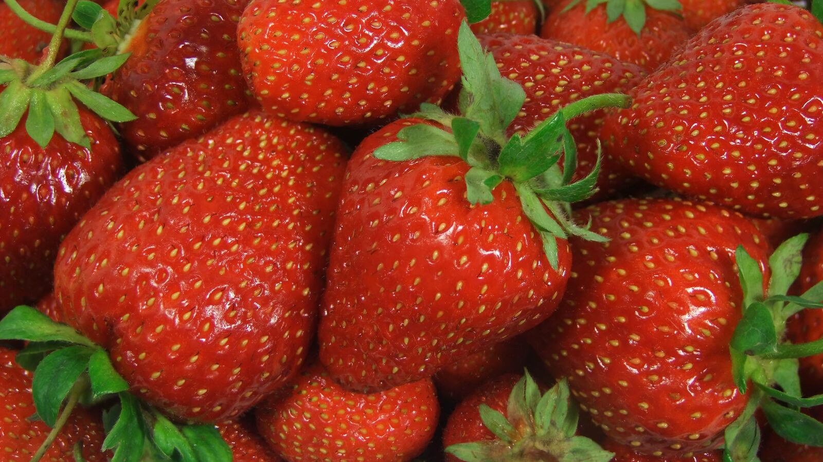 FujiFilm FinePix S200EXR (FinePix S205EXR) sample photo. Strawberry, strawberries, health photography