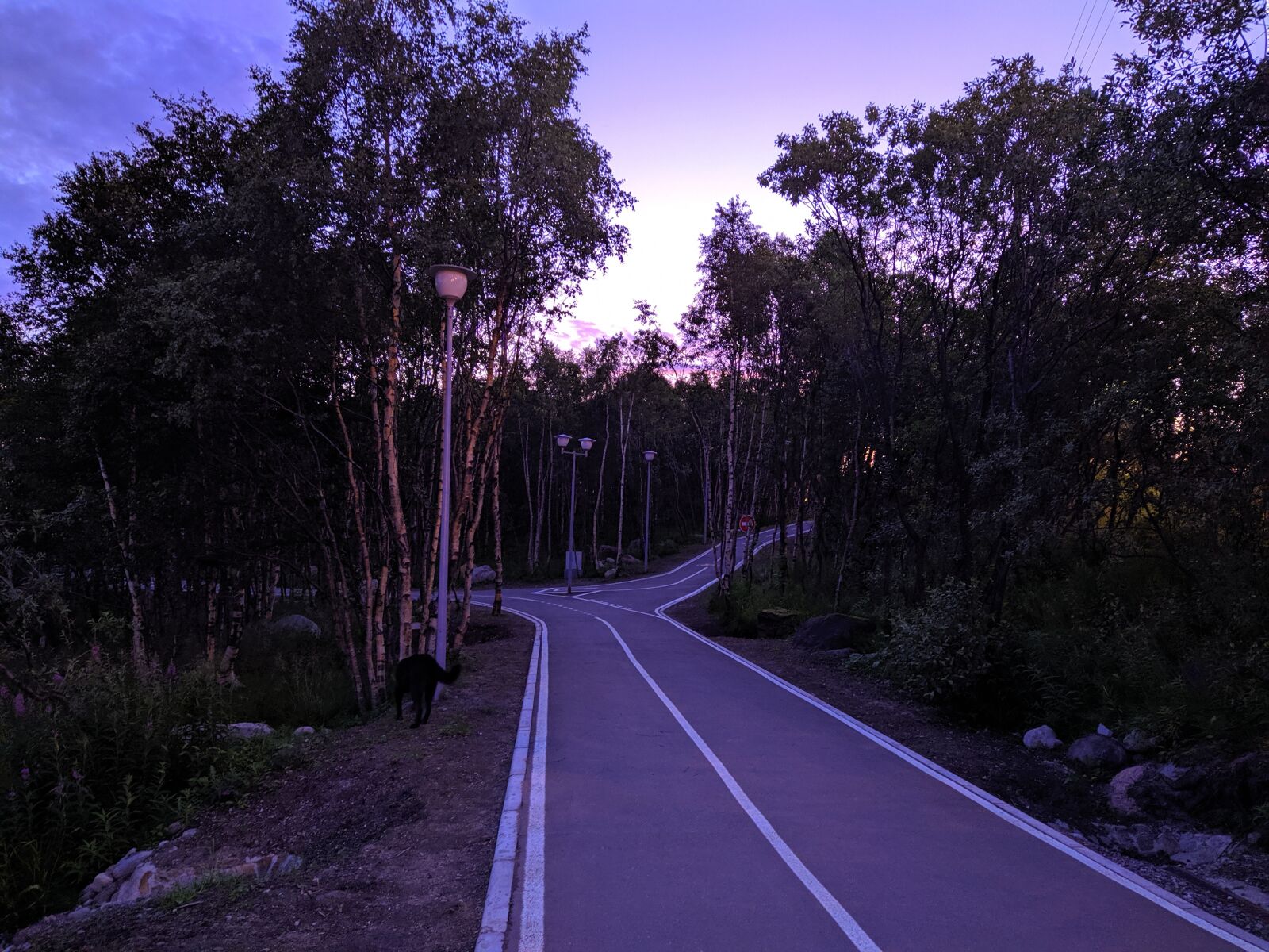 Xiaomi Redmi Note 7 sample photo. Park, forest, bike path photography