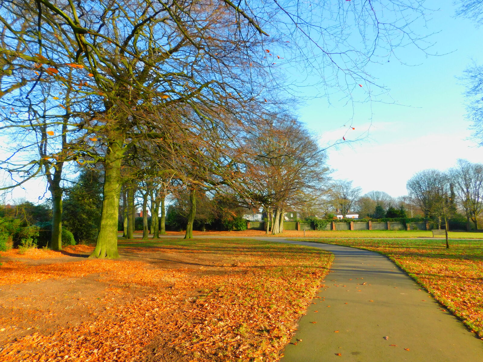 Nikon Coolpix B500 sample photo. Autumn, nature, park photography