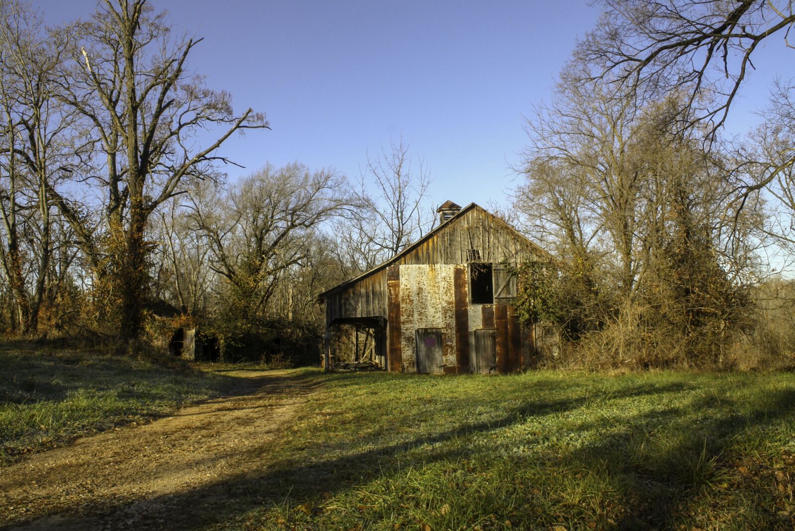 Canon EOS 1000D (EOS Digital Rebel XS / EOS Kiss F) sample photo. Tree, wood, barn photography