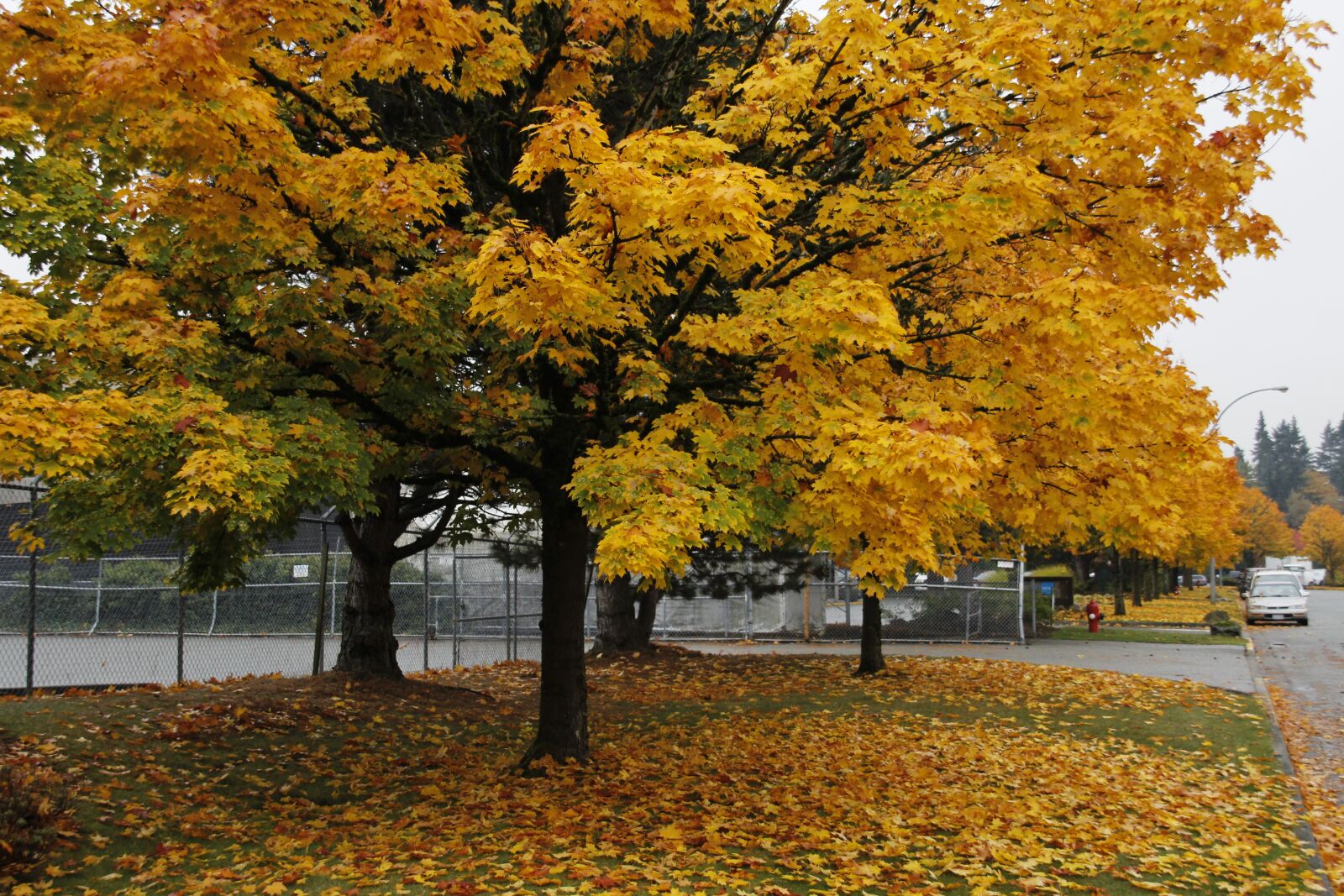 Canon EOS 1200D (EOS Rebel T5 / EOS Kiss X70 / EOS Hi) sample photo. Fall, landscape, autumn photography