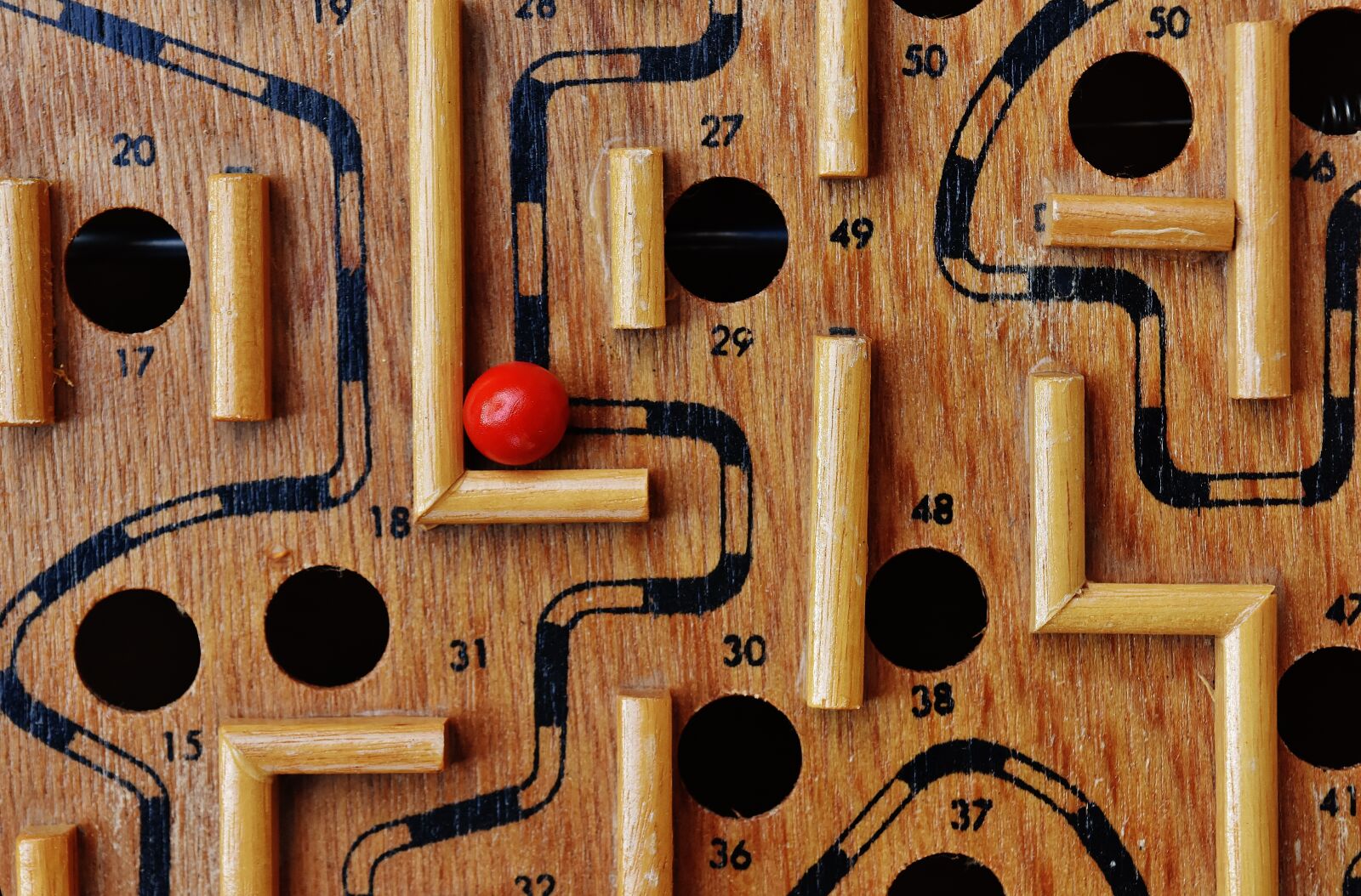 Nikon D7200 sample photo. Labyrinth, wood, play photography