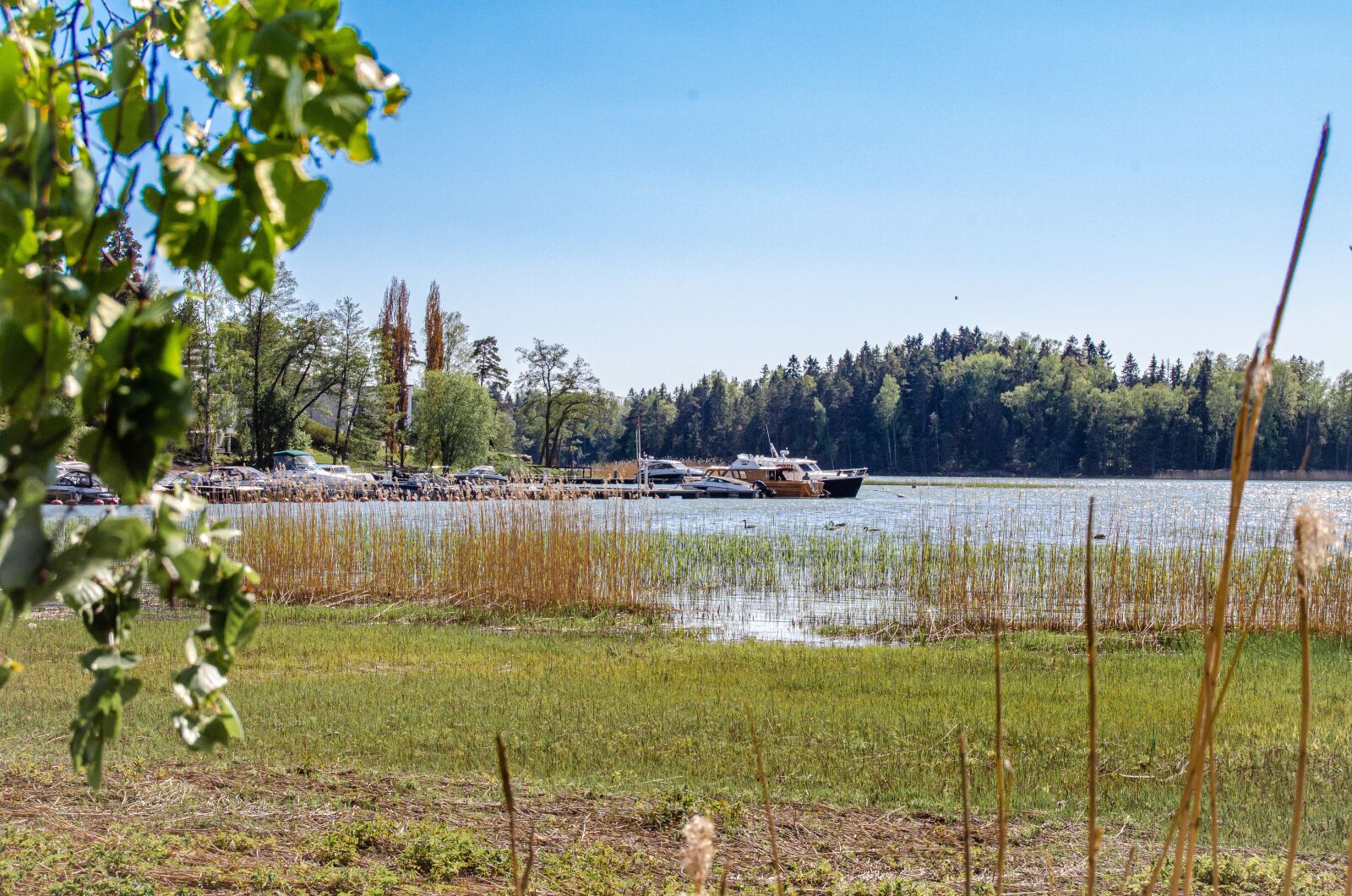Nikon D5100 sample photo. Landscape, docks, water photography